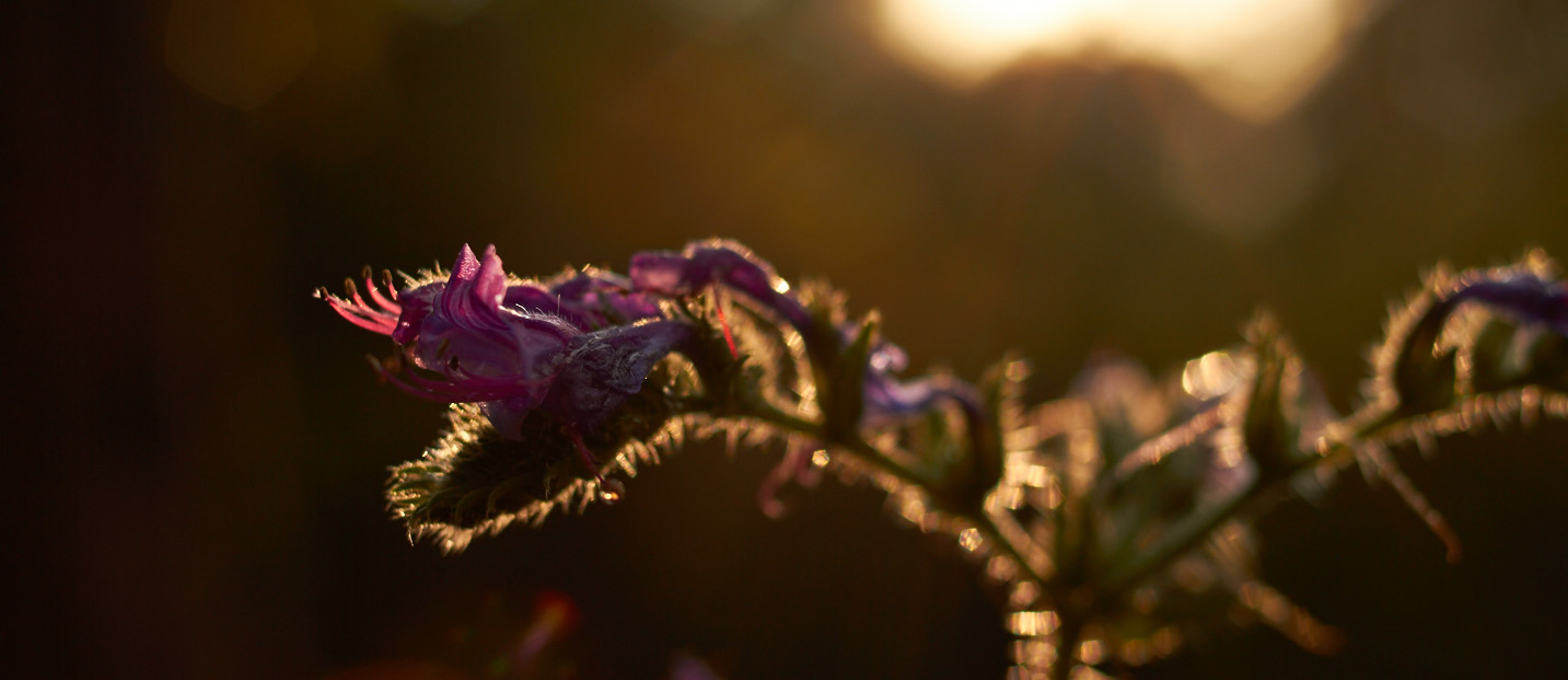 _MG_2359-web