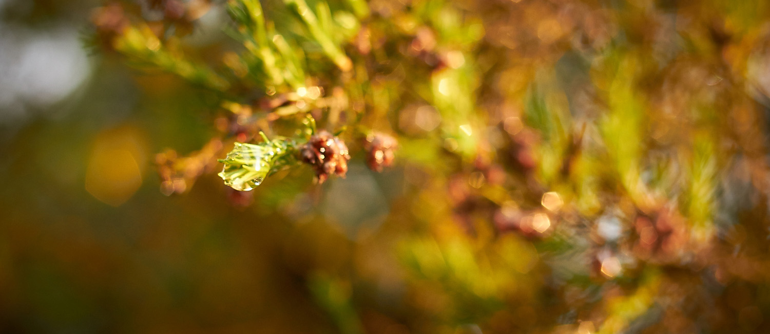 _MG_2366-web