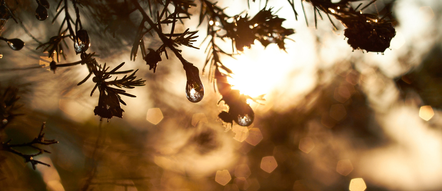 _MG_2369-web
